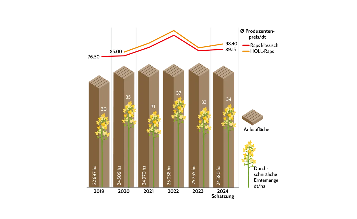 DG09-Grafiken7 Nachdem die Rapspreise 2022 ein Hoch erlebten, sanken sie 2023 unter das Niveau des Jahres 2021. 2024 verzeichnet einen leichten Preisanstieg.