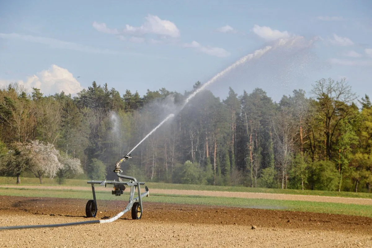 ecd9a56e314f04becda3ae806791e42190bf6b51 Bewässerung ist beim Anbau von Spezialkulturen unabhängig von der aktuellen Wetterlage. (Bild romü)