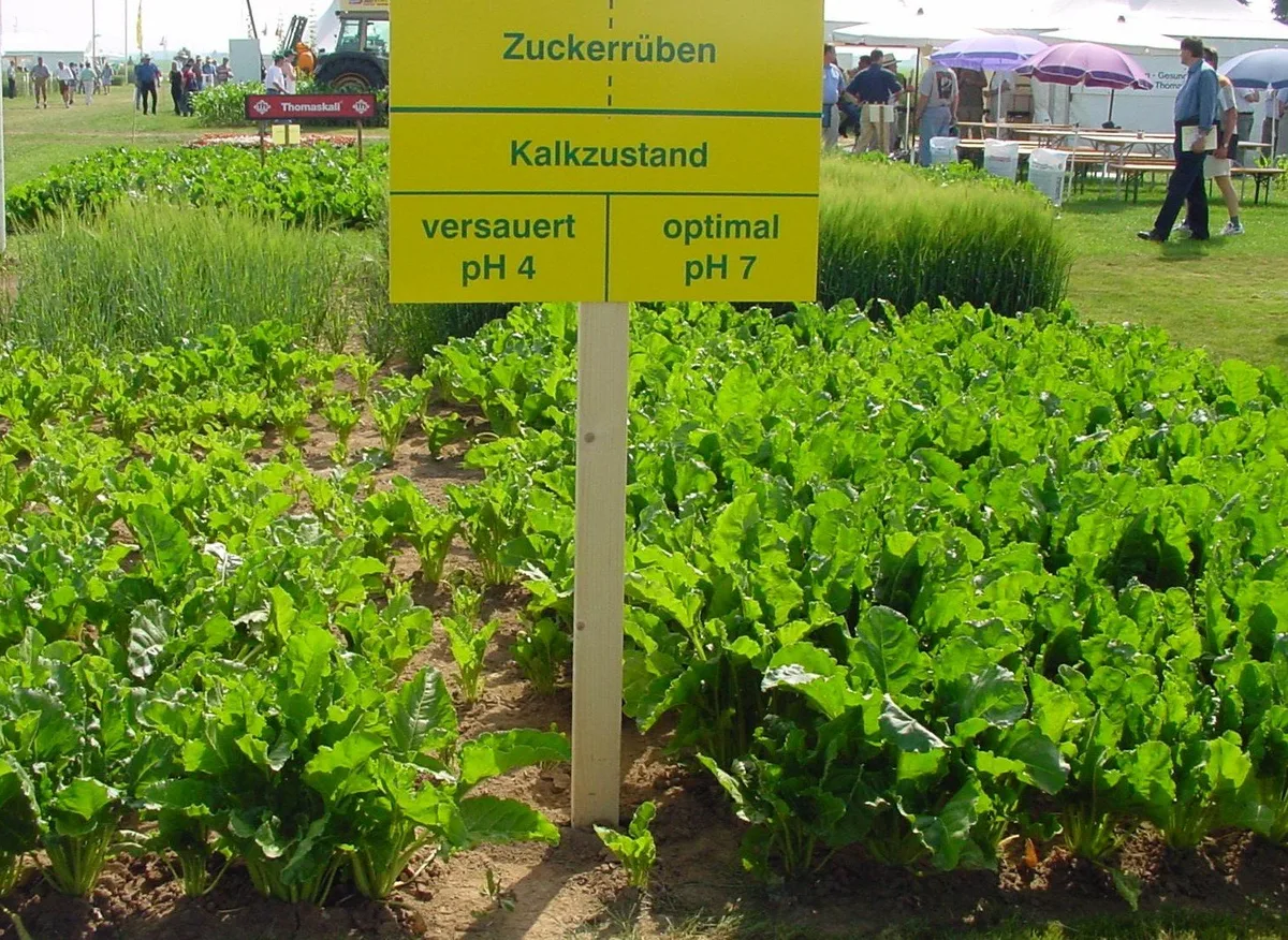 Der Kalkgehalt bestimmt im Ackerbau die Bodenfruchtbarkeit