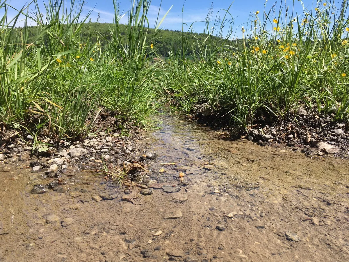 e82a1952f4481a306af9c88f99ca37712f24ce91 Probleme mit der Trinkwasserqualität sind aus Sicht des 3x-Ja-Komitees nur einer der Hinweise darauf, dass sich die Schweizer Landwirtschaft nicht in die richtige Richtung entwickelt. (Bild jsc)