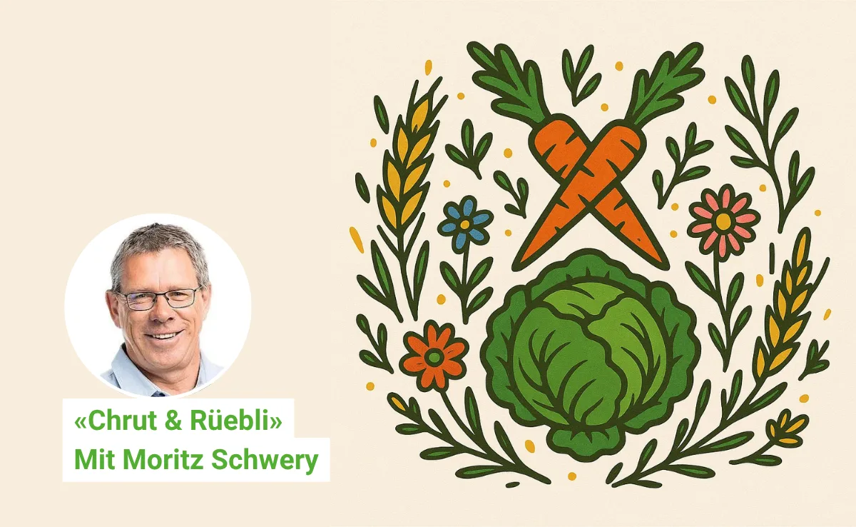 Artikel_C_R_BauZ_Schwery «Ringkuhkämpfe waren ein Thema, aber es wurde darauf verzichtet» – Moritz Schwery über den Gastkanton Wallis an der Olma
