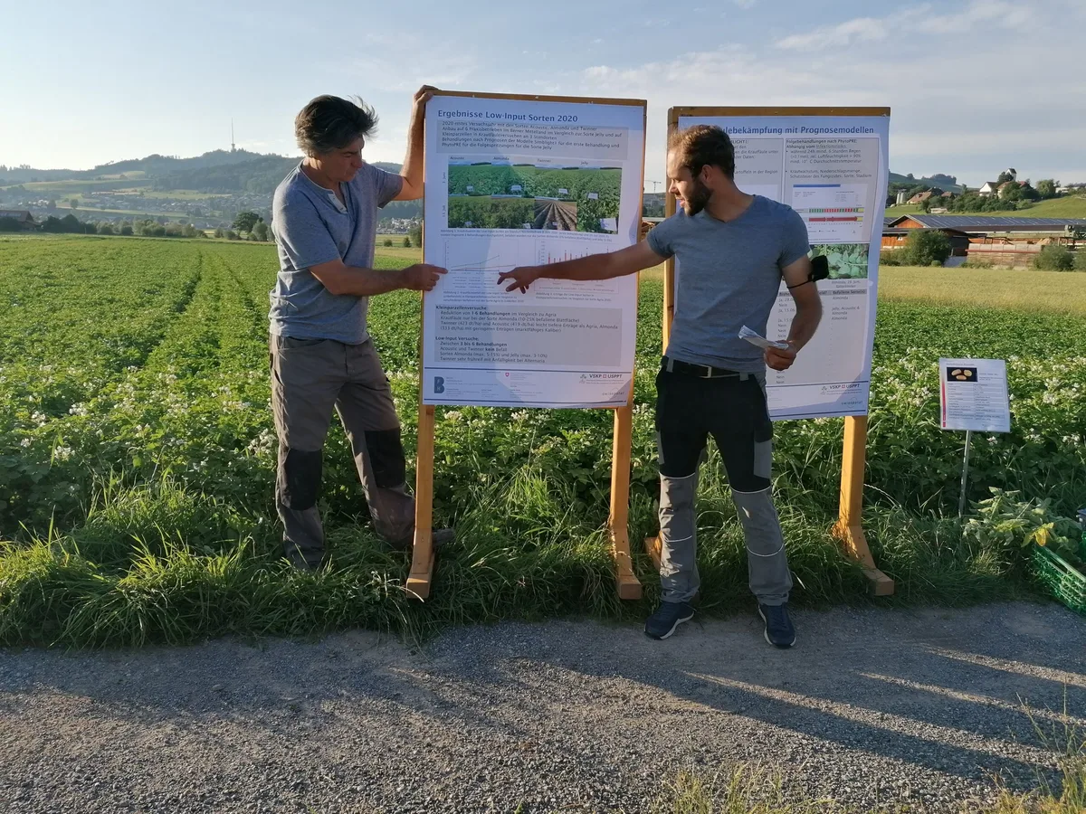 14436cfac96515b92afc3a98c1c6c1692cc57dd7 Stefan Vogel (rechts) und Andreas Keiser (links) referierten über den Krautfäulebefall der getesteten Sorten im Versuch von letztem Jahr. (Bild bab)