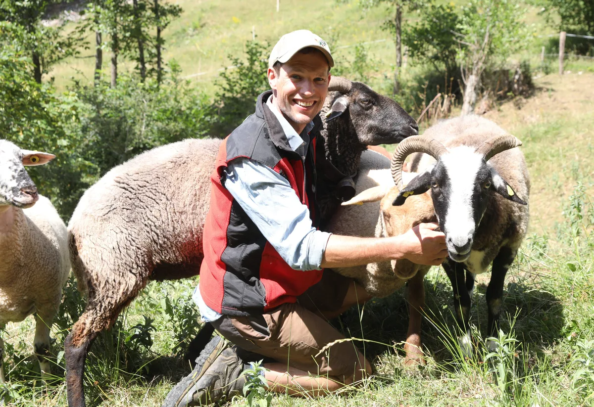 03.JPG Das Bündner Oberländer Schaf ist für Ruedi Battaglia in jeglicher Hinsicht ein wertvolles Tier.