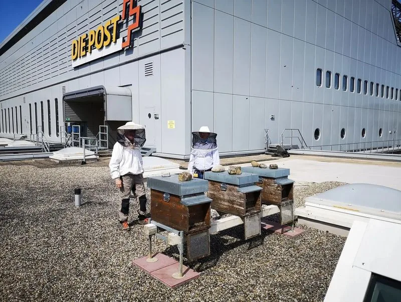 5c7a778cfc8a9abbab1a2329162e4de8d708760c Auf dem Dach des Briefzentrums Zürich-Mülligen wird gestartet und gelandet - seit diesem Jahr hat die Post eigene Bienenstöcke. (Bild Post AG)