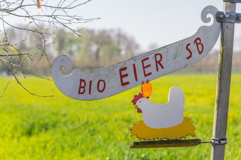Wichtig ist, neben den nationalen Beschlüssen auch eventuelle kantonale Unterschiede zu beachten. (Bild AKrebs60/Pixabay)