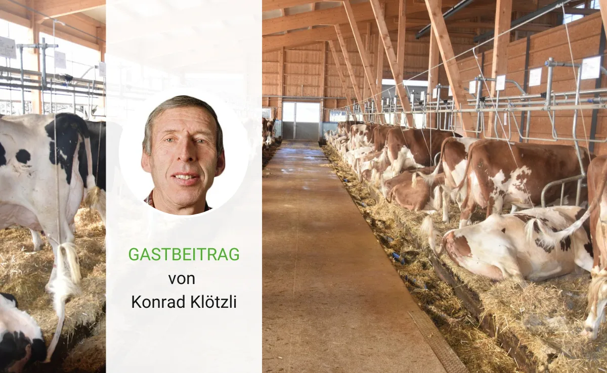 kloetzli_gastbeitrag Ist der Anbindestall wirklich ein alter Zopf? Nein, da liegen Sie falsch!