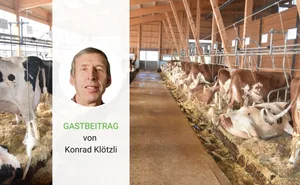 Konrad Klötzli ist überzeugt, dass der Anbindestall Zukunft hat.