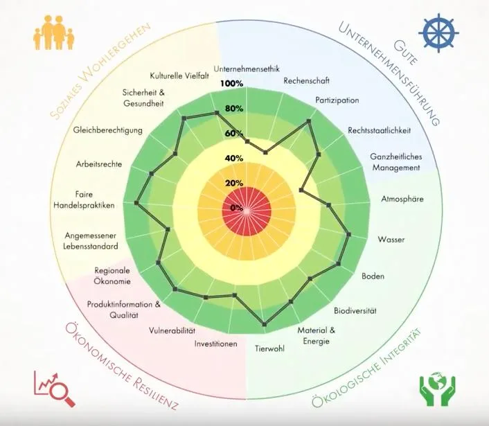 Eine Übersichtsgrafik zeigt dem Landwirt, wie gut er sein Nachhaltigkeitsziel (schwarze Linie im Kreis) erreicht. Dabei nähert sich die schwarze Linie dem dunkelgrünen Bereich (100% Nachhaltigkeit), je nachhaltiger der Landwirt wirtschaftet.  (Screenshot Youtube-Video FiBL)