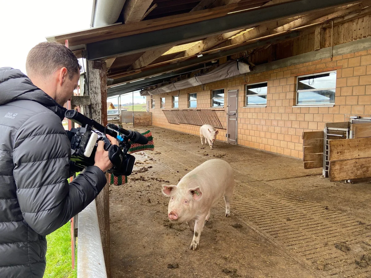 Lampenfieber kurieren: Schweinehalter stählen sich im Medientraining für politische Diskussionen