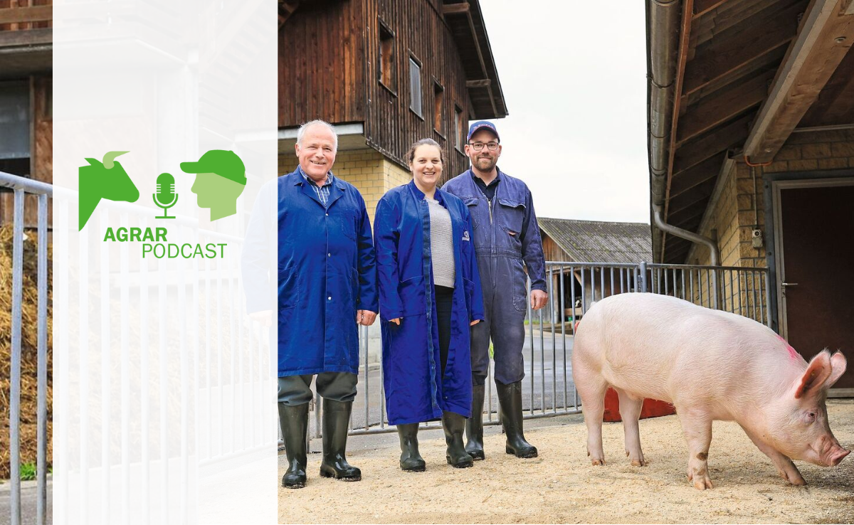 «AgrarPodcast» Episode 27: Bei den Kernzüchtern, Landtechnik in Gross und zuhause bei der obersten Bäuerin