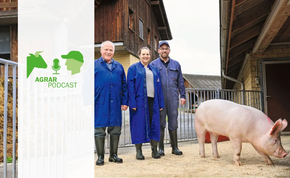 «AgrarPodcast» Episode 27: Bei den Kernzüchtern, Landtechnik in Gross und zuhause bei der obersten Bäuerin