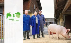 Bald soll dieser Premo-Eber auf die KB-Station der Suisag umziehen. Familie Güdel erklärt unter anderem, wie sie die relativ teure Aufzucht als Kernzüchter finanzieren.