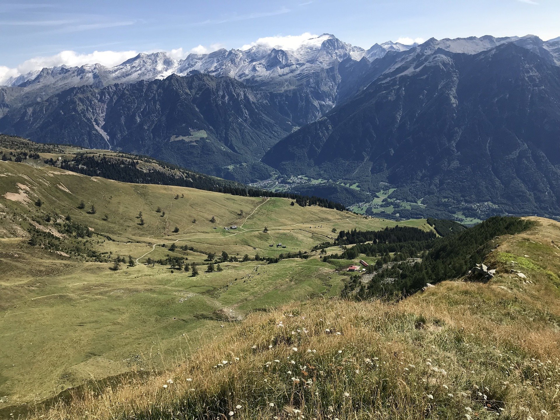 Jungwolf aus Tessiner Valle di Blenio darf abgeschossen werden