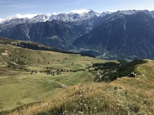 Im Tessiner Bleniotal sind zwei Rinder von Wölfen gerissen worden.