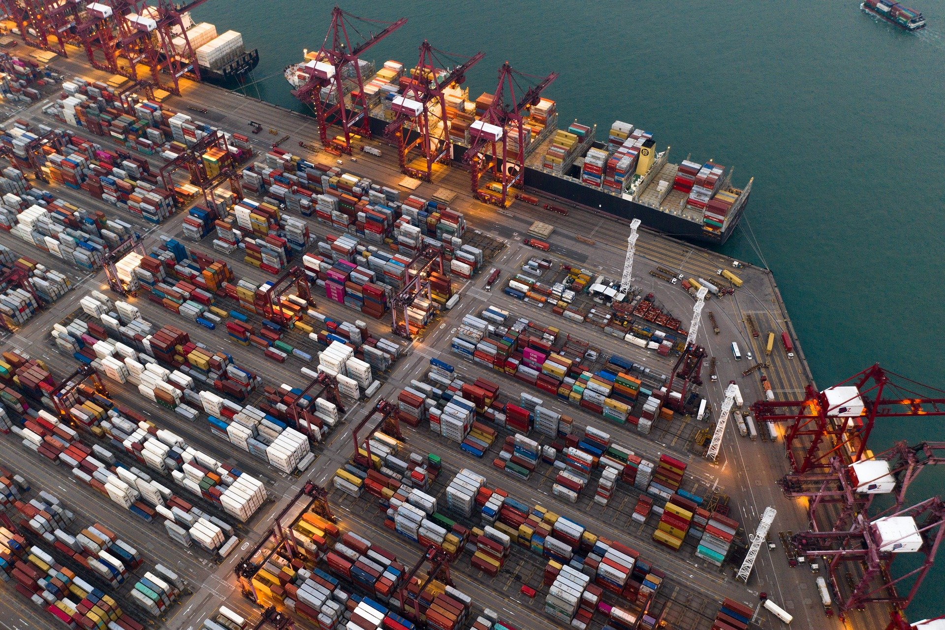 «Die Schweiz muss aus der WTO»