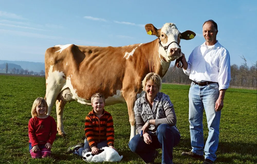 31173a8eeed0b28f7003d37bc315c27ebb3491f6 Jacqueline und Adrian Weber mit den Kindern Deborah und Cédric, der unbedingt auch sein Kaninchen mit auf dem Foto haben wollte. An der Halfter hält Adrian seine Spitzenkuh Incas Tulpe (55 55 98) und mit EX-91 beschrieben. Die Kuh Tulpe kommt dem Zuchtziel bei Webers sehr nahe. (Bild: Peter Fankhauser)