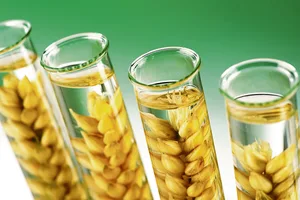 Verpasste Chance oder vernünftiger Verzicht im Einklang mit der Mehrheit der Konsumenten? Der Nutzen von grüner Gentechnik bleibt trotz Fortschritten umstritten.(Symbolbild Fotolia)