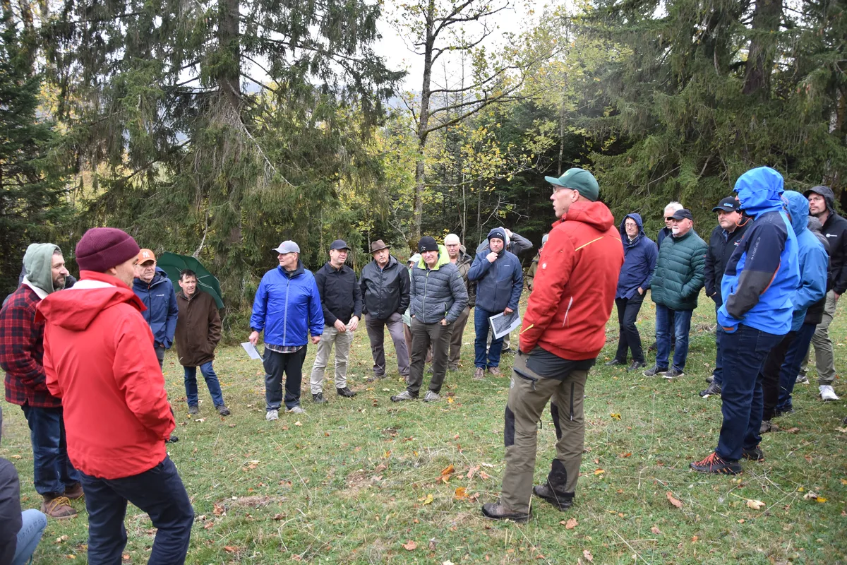DSC_0012 Viel Gesprächsstoff an der Generalversammlung der Berner Waldbesitzer: Die vielen alten Tannen auf den Waldweiden im Jura sind ein Problem.