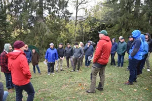 Viel Gesprächsstoff an der Generalversammlung der Berner Waldbesitzer: Die vielen alten Tannen auf den Waldweiden im Jura sind ein Problem.