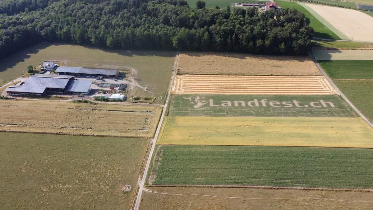 Maislabyrinth_Gelaende-2023 Am Buechibärger Landfest gibt es drei Missen und diverse Rassen zu sehen