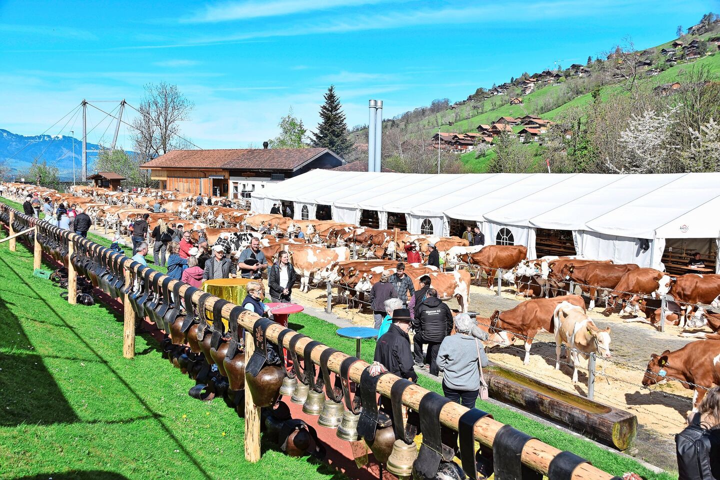 Es stimmte alles: ein schöner Schauplatz, eine hohe Qualität, eine gute Stimmung, viel Publikum und viel Wetterglück.