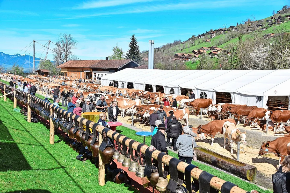 7bc27e2dbddde376d4b7124663a6f00579d07062b916eb08b6263eda72b656aa Es stimmte alles: ein schöner Schauplatz, eine hohe Qualität, eine gute Stimmung, viel Publikum und viel Wetterglück.