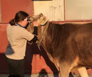 Ein Herz und eine Seele - BauernZeitung-Redaktorin Julia Overney mit Julischka. (Bild zVg)