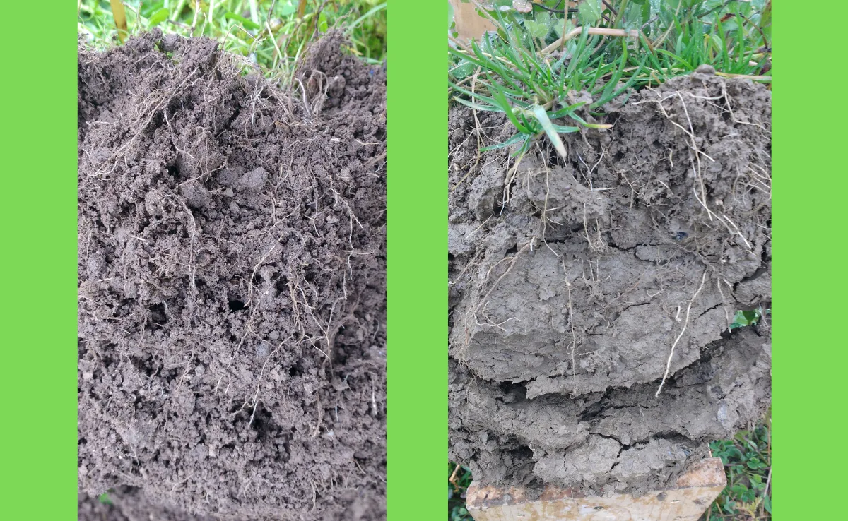 boden_vergleich Der Bodenfruchtbarkeitsfonds ernennt Landwirte zu Treuhändern des Bodens