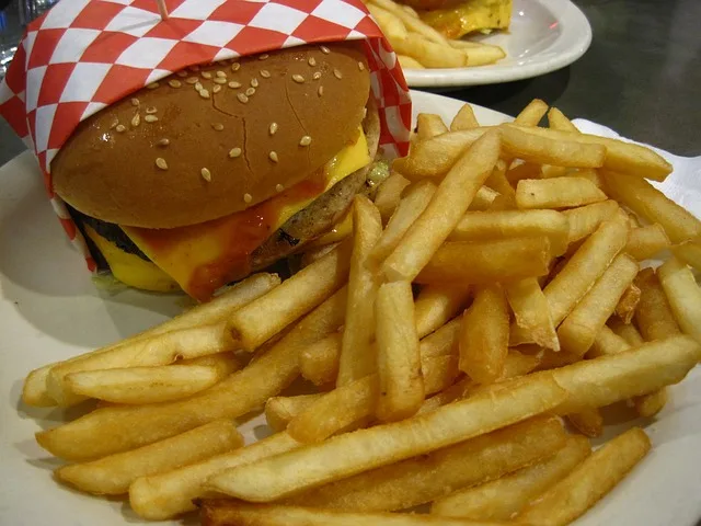 042ab8ee2621e9bc59d59ec76f86cb189daa84c3 Die Studie reiht sich in eine Vielzahl von Untersuchungen ein, die Hinweise darauf liefern, dass sich zu viel Junk Food nicht nur ungünstig auf die Figur auswirkt, sondern auch dem Gehirn schadet. (Symbolbild Pixabay)