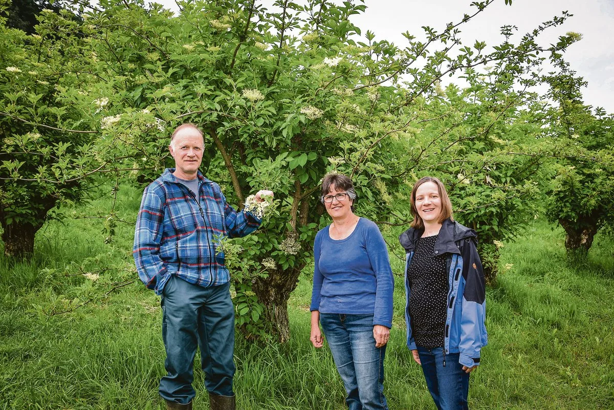 06eb697f69aceb837874540825ec65fb9947ab11 Sie haben sich auf ihrem Betrieb ein Standbein mit Holunder aufgebaut (v. l. n. r.): Peter, Katharina und Katya Grundbacher.(Bild Barbara Heiniger)