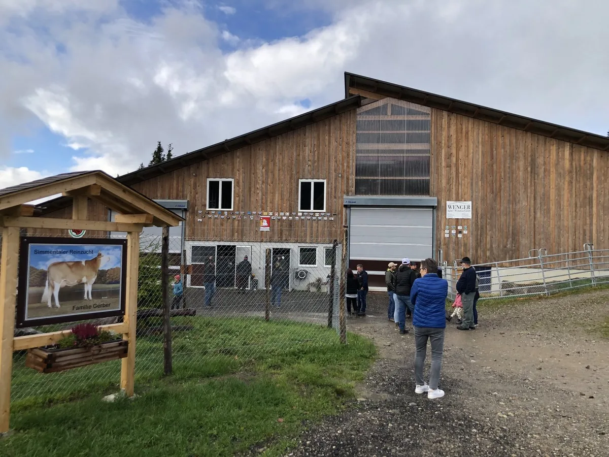 Stallneubau_von_Familie_Gerber__Unterlangenegg Ein grosszügig dimensionierter Stall für fünfzig Original-Simmentaler Milchkühe weckt Interesse