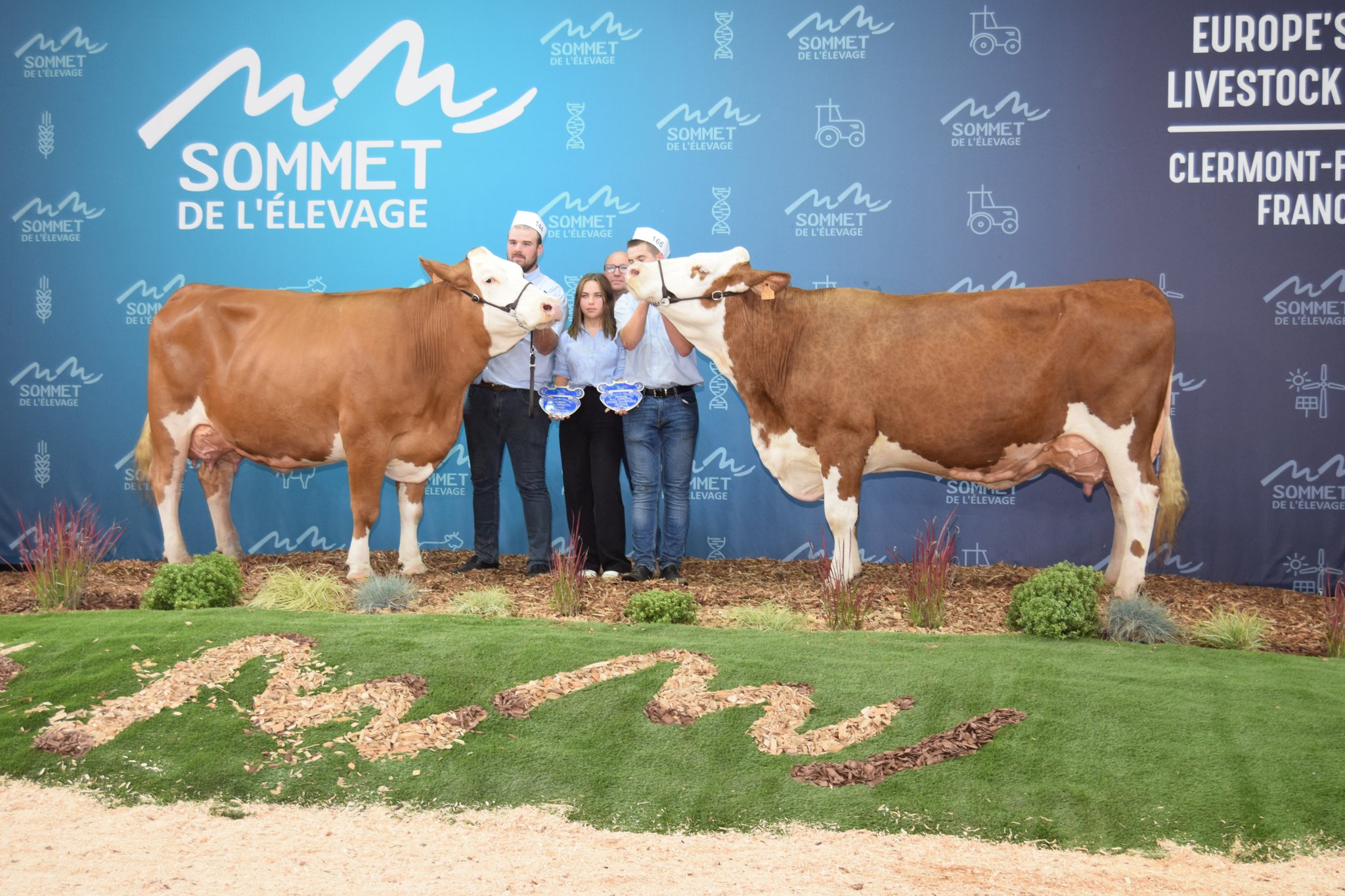 Die Simmentaler machten in Frankreich eine gute Figur