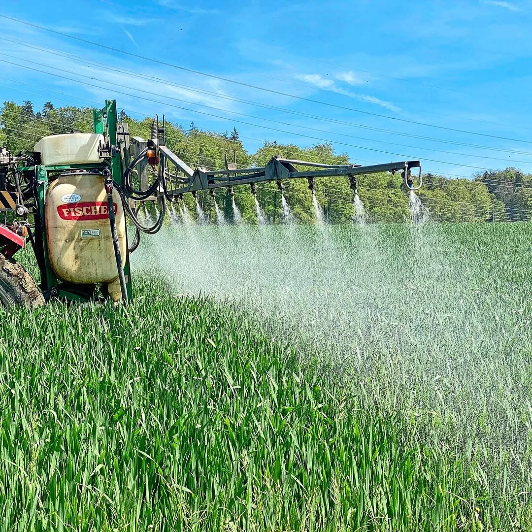 Mit «Mefentrifluconazol» ist seit Langem wieder ein neuer Triazol-Wirkstoff im Getreide zugelassen. Der Zungenbrecher ist ein langersehnter Baustein in der Resistenzvorbeugung.