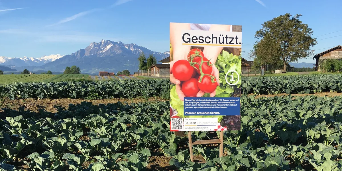 c94e31ff813aea567a35f579c7bda310ec729e59 Die Solothurner Bauern dürfen ihre Plakate stehen lassen, entschieden das Bau- und Justizdepartement. (Bild IG Bauern Unternehmen)