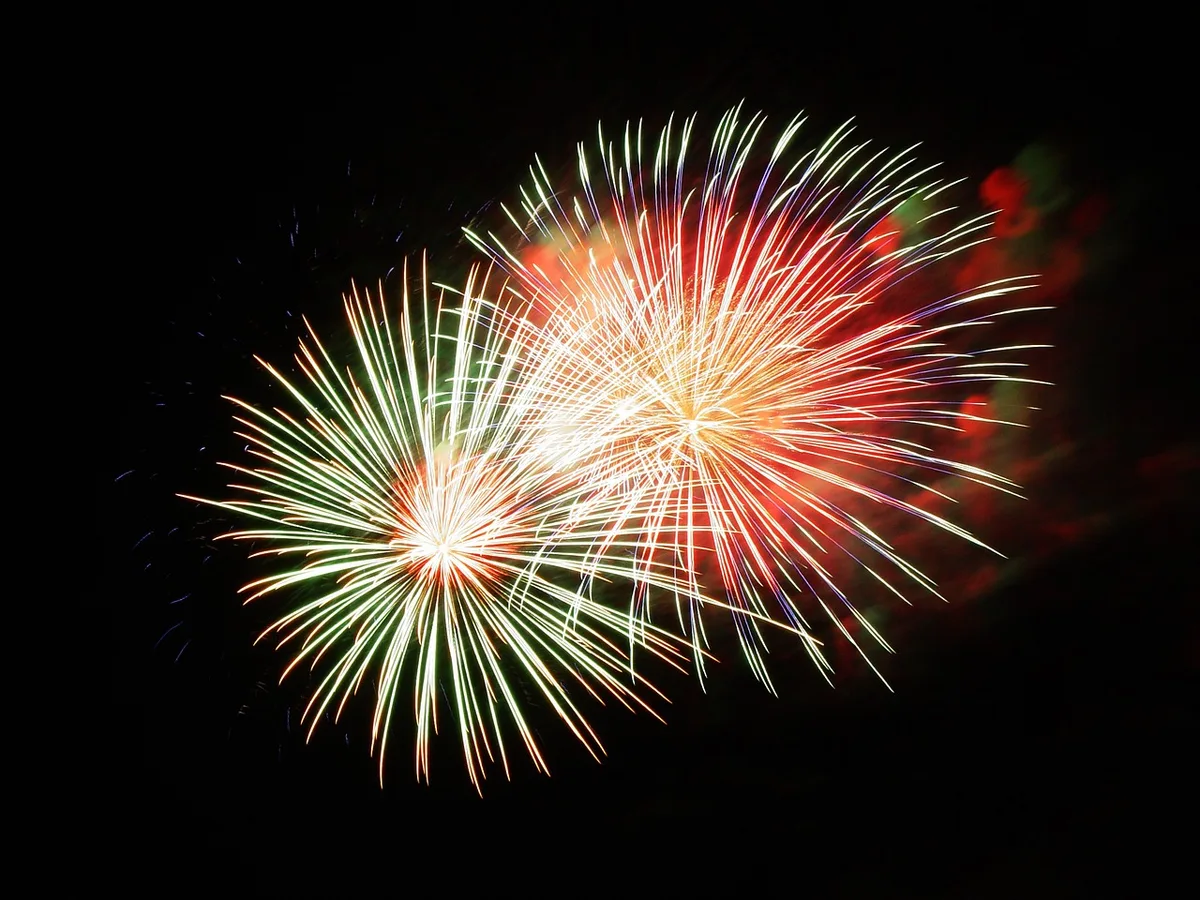 Tierischer Silvester-Horror und was man dagegen tun kann