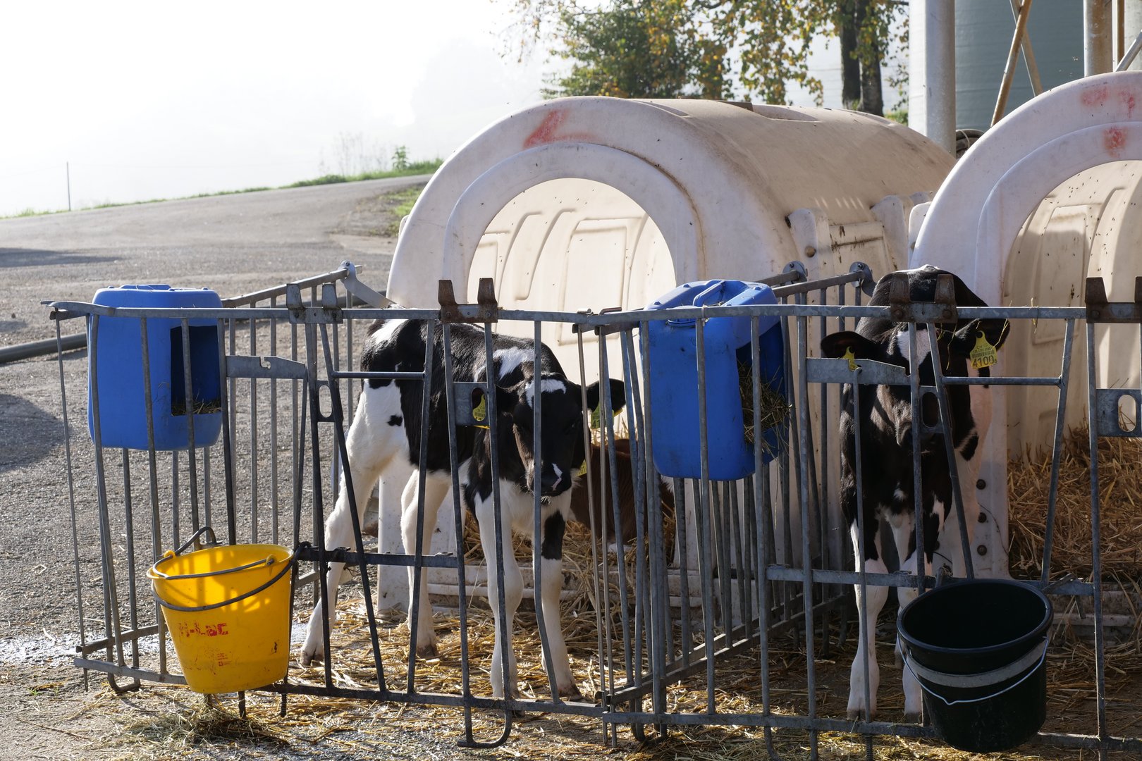 Demeter Schweiz: «Die hundertprozentige Abtränkpflicht wird frühestens 2032 erreicht werden können»