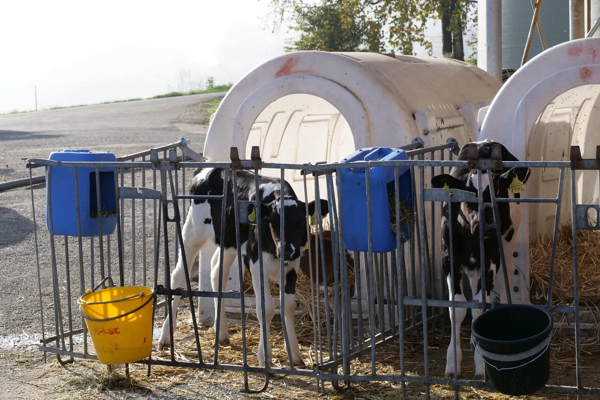 Demeter Schweiz: «Die hundertprozentige Abtränkpflicht wird frühestens 2032 erreicht werden können»