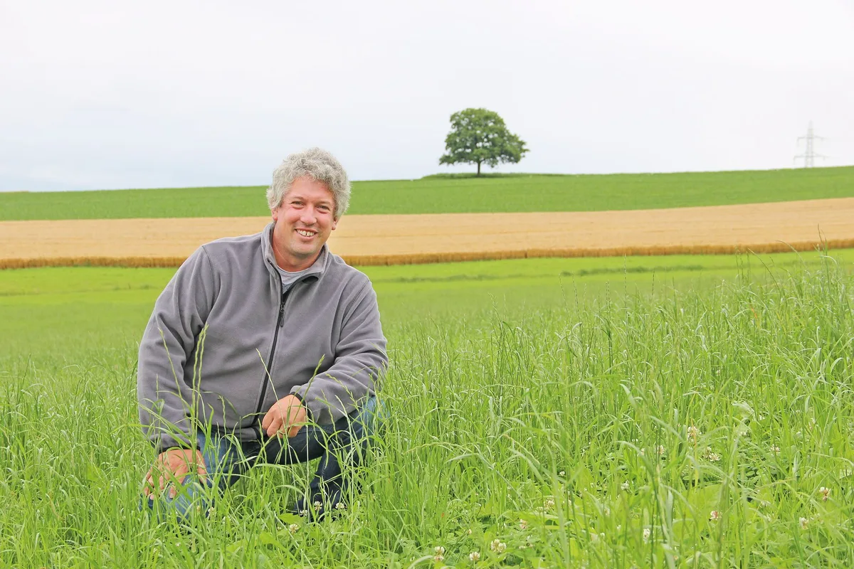 3f8ffe9cf3f382dd4143a2b9d5cb3d0ac8ceb3de «Nach dem ersten Schnitt bekommt das Zwischenfutter Gülle, genauso wie nach dem zweiten Schnitt im Herbst und im Frühling nochmals», erklärt Urs Rinderknecht. Bild: Sebastian Hagenbuch