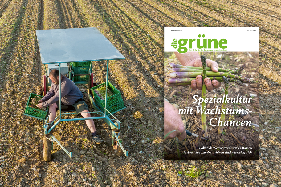 «die grüne» im Juni 2022 – Spezialkultur mit Wachstums-Chancen