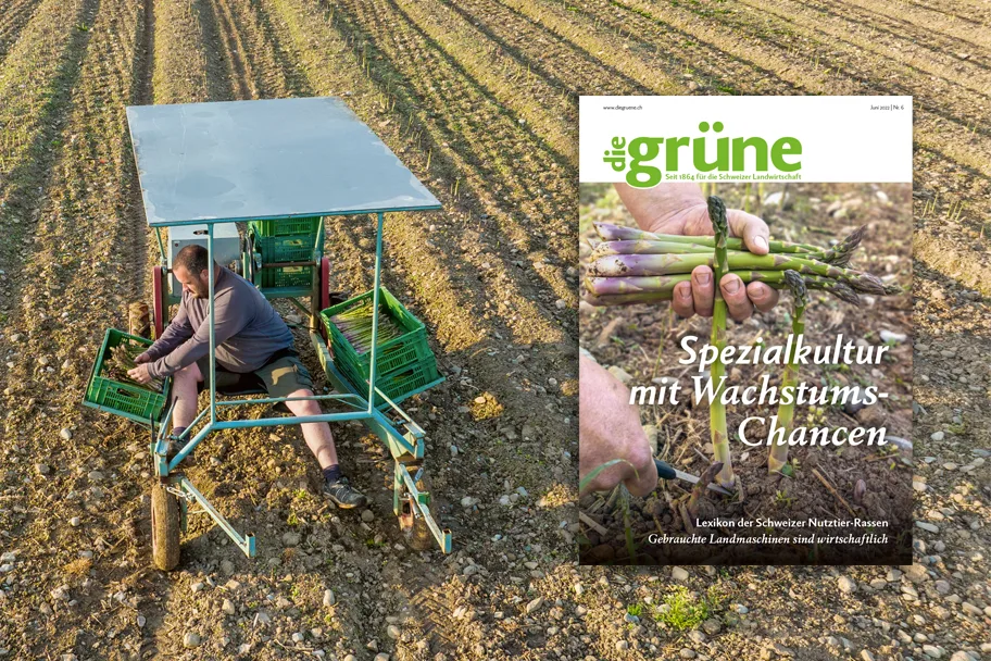 «die grüne» im Juni 2022 – Spezialkultur mit Wachstums-Chancen