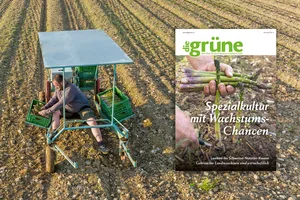 Vorschau Print-Ausgabe Juni 2022