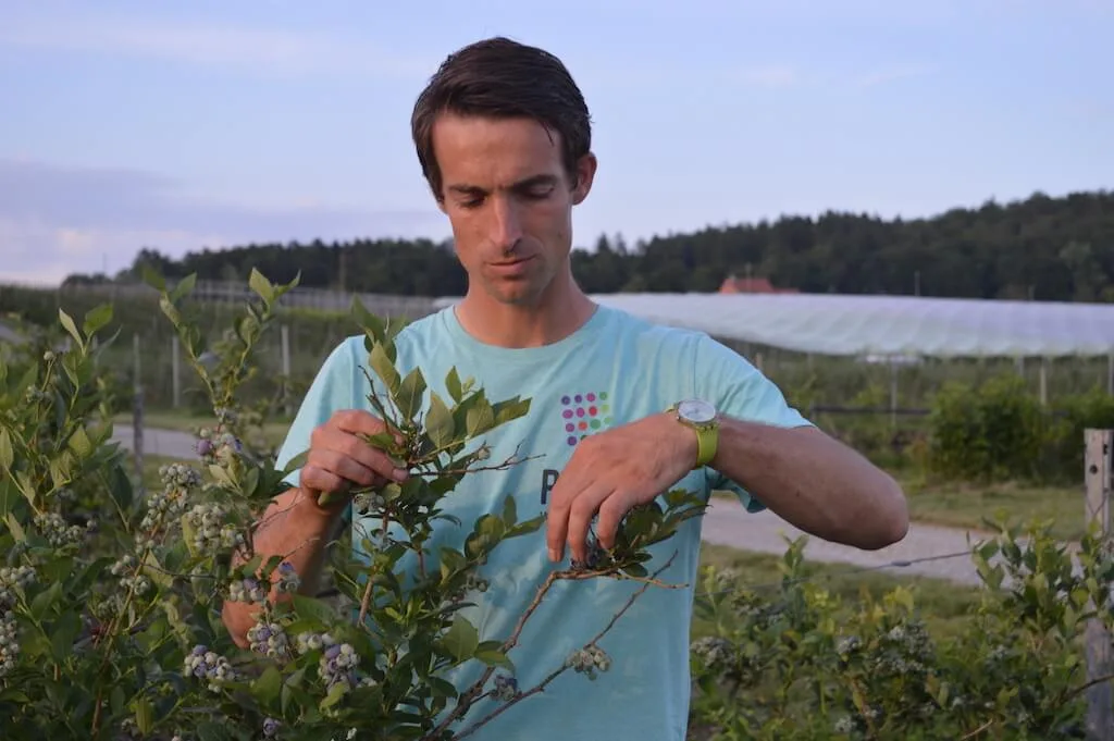 dcd9f0a8f5d4ce03246fc60ce6eff9f24e5689d9 Simon Räss ist ein Tüftler wenn es um den Anbau von neuen Beeren geht. Die Herkömmlichen sind aber genau so wichtig, wie er sagt. (Bilder asa)