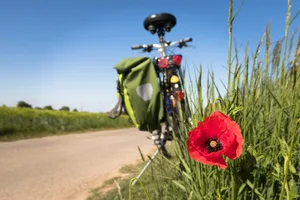Die Idee der Regio-Challenge: Eine Woche lang essen, was in etwa der Entfernung einer Velotour (30 Kilometer) produziert worden ist. (Bild Pixabay)