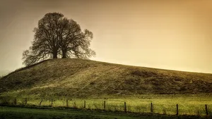 Öffentliche Anlagen sind geschlossen – landwirtschaftliche Nutzfläche ist aber kein Ersatz dafür. (Symbolbild Pixabay)