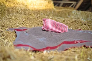 Von Vorteil ist, wenn bestehende Gebäude für den Agrotourismus umgebaut werden können.