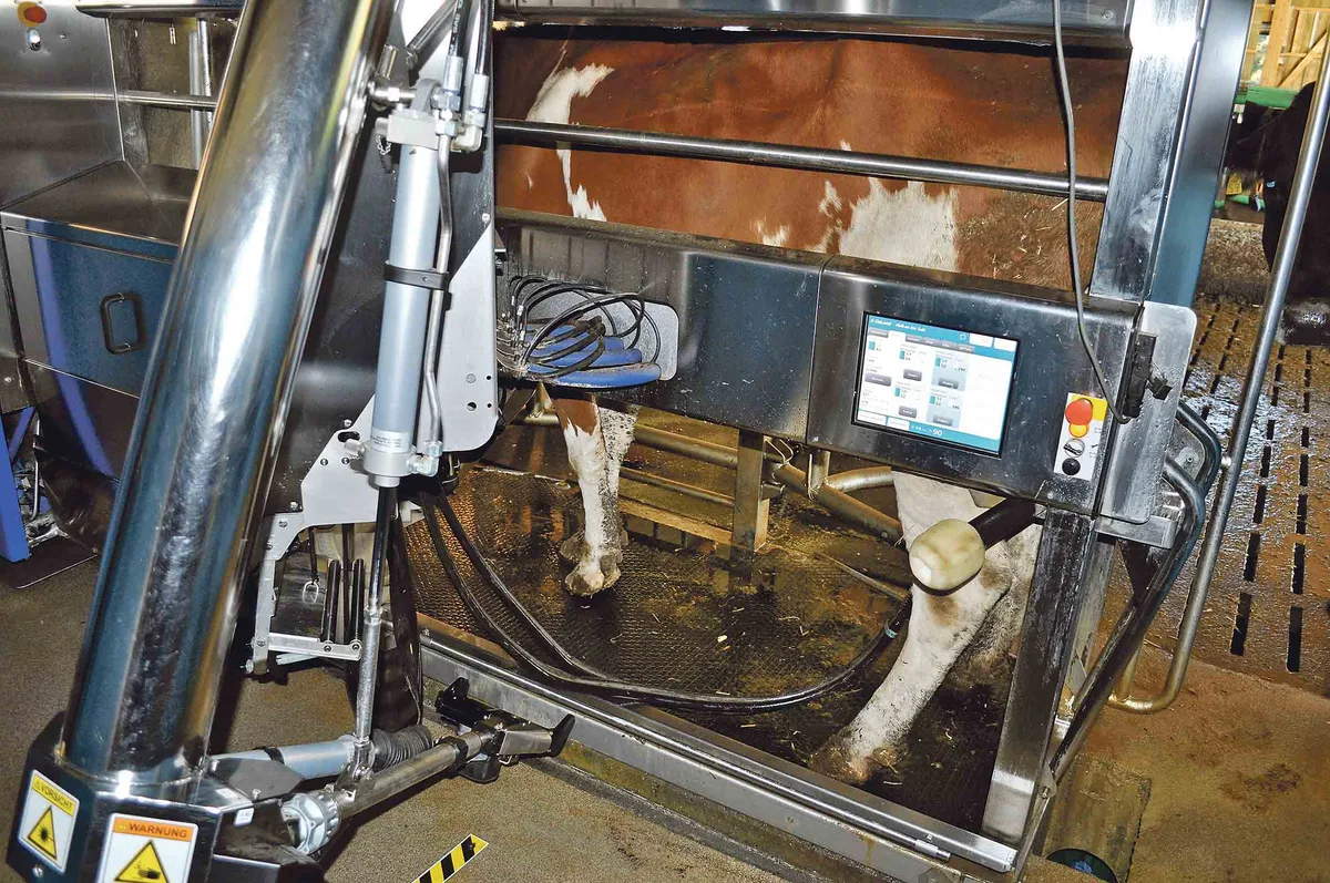 Ein Melkroboter ermöglicht eine geringere Arbeitsbelastung und eine flexiblere Betriebsführung. (Bild zVg)