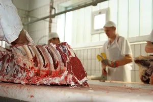 Im Juni 2021 wurde im Vergleich zum Vorjahr weniger und leichteres Rindvieh geschlachtet. (Bild lid)