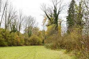 Artenreiche, gestufte Waldränder sind wertvolle Lebensräume und vernetzen den geschlossenen Wald mit dem Offenland.