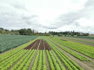Die grösste Angst der Produzenten ist nicht der Absatz, sondern die Frage, ob sie in Zukunft noch genügend qualifizierte Mitarbeitende für Gemüseproduktion finden.