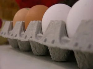 Neuer Lebensmittelskandal in Italien: Eier aus Käfighaltung wurden als Freilandeier deklariert. (BIld: BauZ)